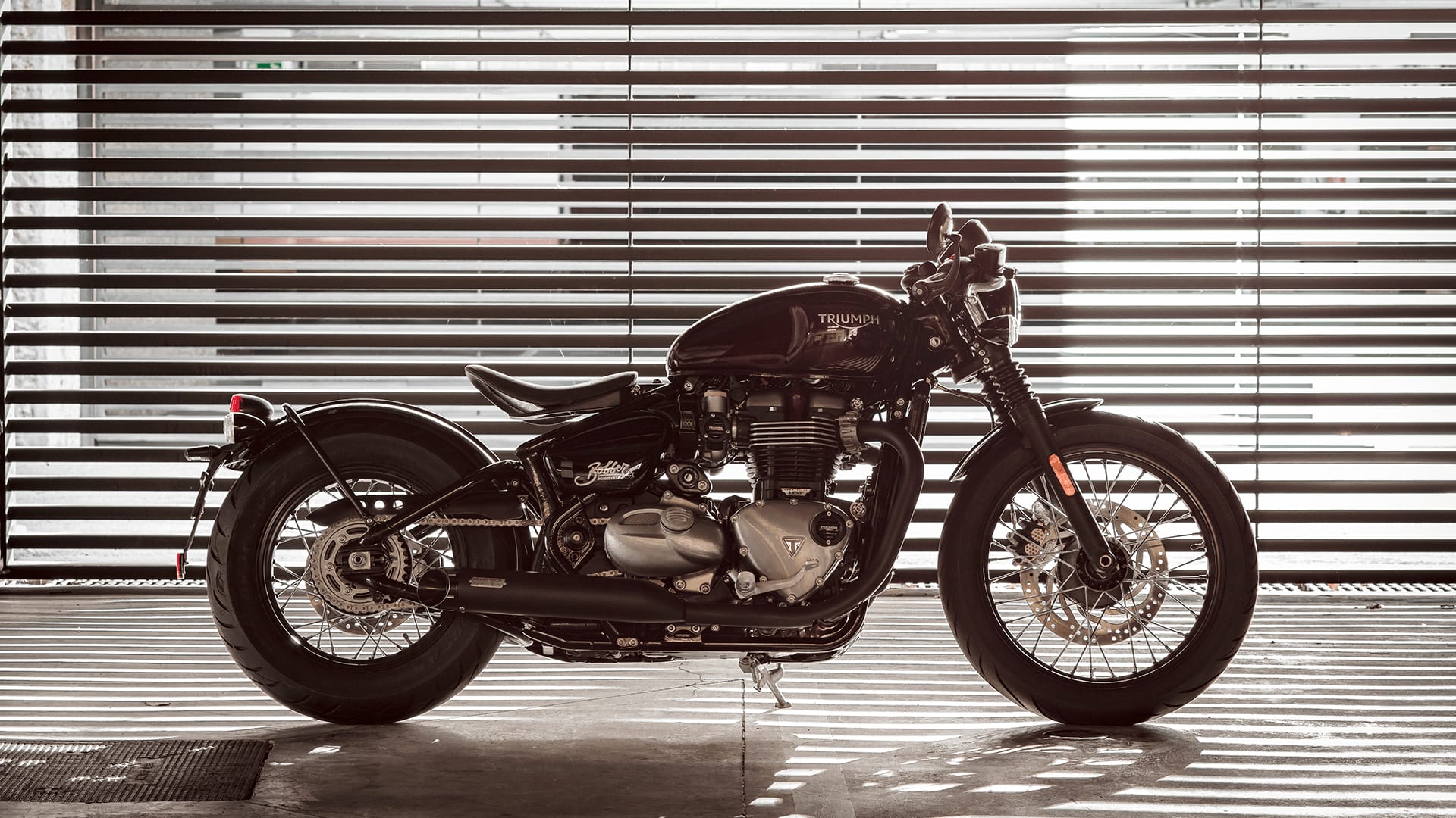 Why buy genuine | For the Ride